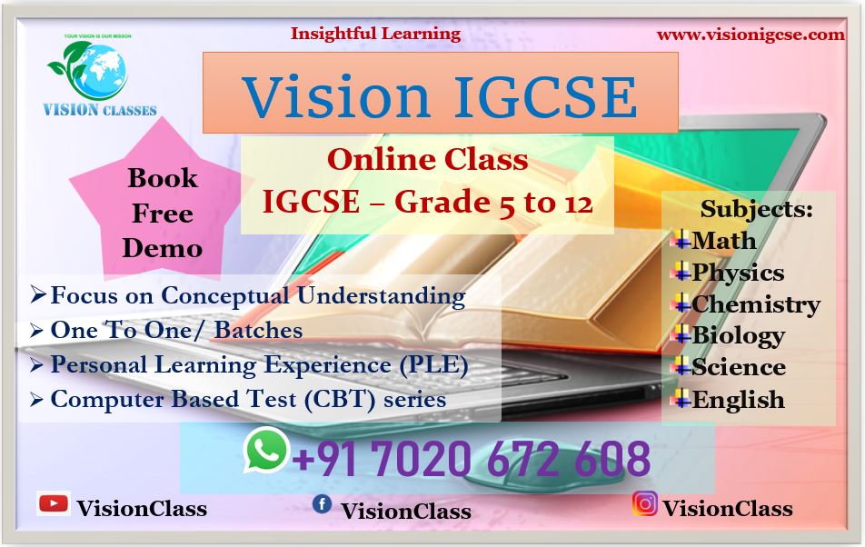 VisionIGCSE 2