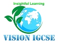 Vision IGCSE